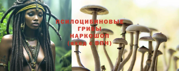mix Вяземский