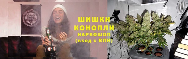 прущие грибы Горнозаводск