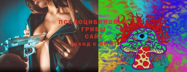 mix Вяземский