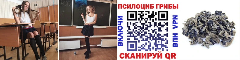 Купить где  Солигалич  Псилоцибиновые грибы мухоморы 